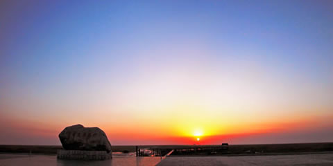 『隨華全，觀天下』 ——走進崇明